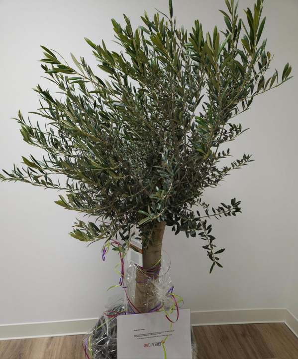 Yeni Ofis binamızda sürpriz  ziyaret